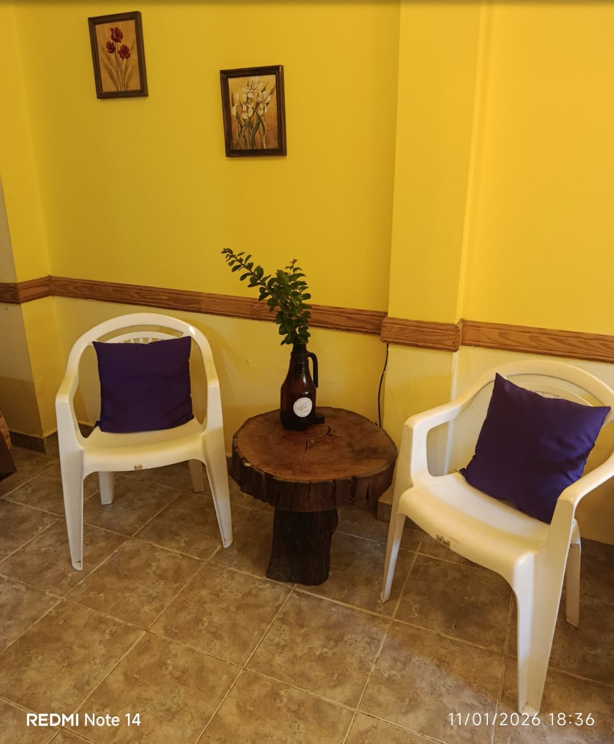 Dueño Vende Local con Vivienda — foto 11 de 16